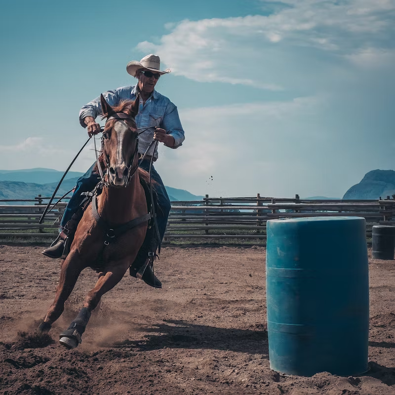 Love on the Range: Cowboy Pickup Lines for Adventurous Hearts